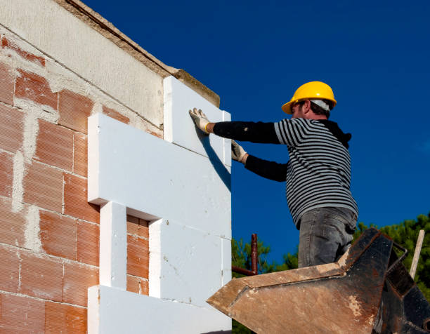 Best Eco-Friendly Insulation in Iowa Colony, TX