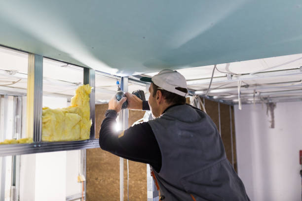 Best Spray Foam Insulation in Iowa Colony, TX